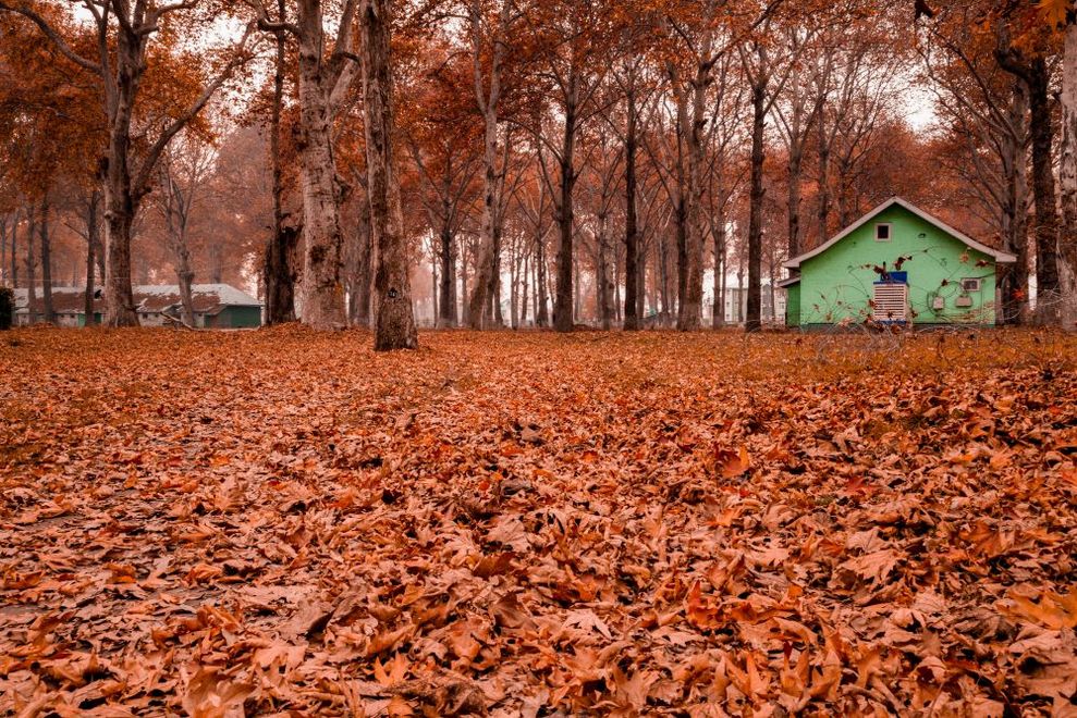 Pari Mahal Srinagar